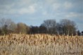 /album/kop-van-overijssel/img-7186-2-jpg/